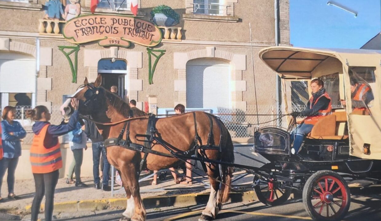 maison-ancienne-6-pieces-bouille-courdault-85420-1776156898-VM749_28_original