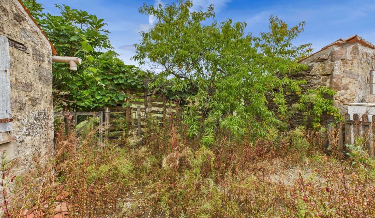 maison-mitoyenne-2-cotes-3-pieces-saint-cyr-des-gats-85410-1771503877-VM763_11_original