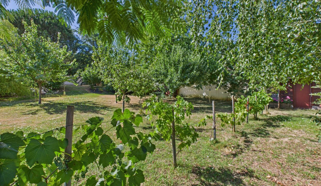 maison-villa-10-pieces-serigne-85200-1771843273-VM747_24_original