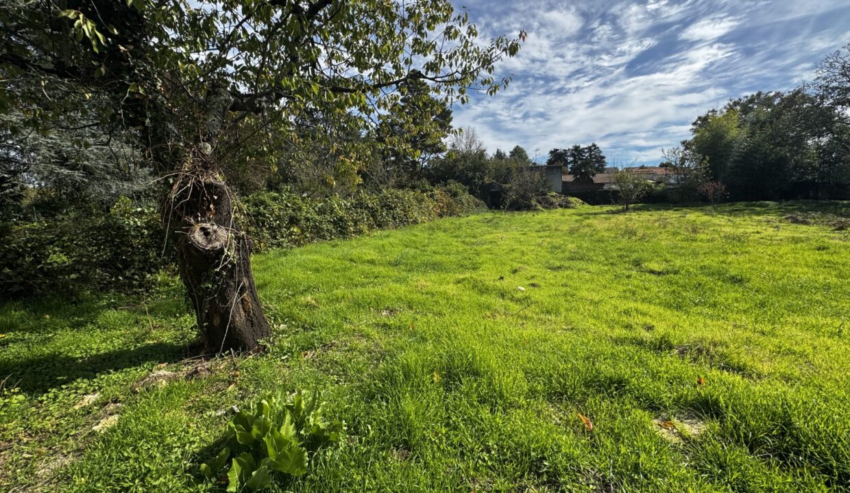 terrain-constructible-1612-m2-fontenay-le-comte-85200-1775635680-VT074_2_original