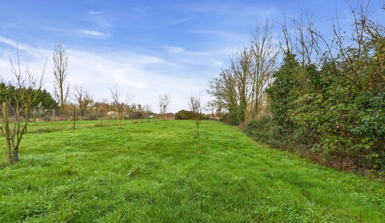 maison-individuelle-5-pieces-marans-17230-1771593695-VM872_25_original